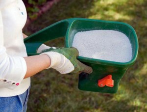 Magnolia Woods residents can borrow hand spreaders from MWCA to spread their fire ant sterilant